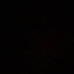 Meet your Posher, Celeste